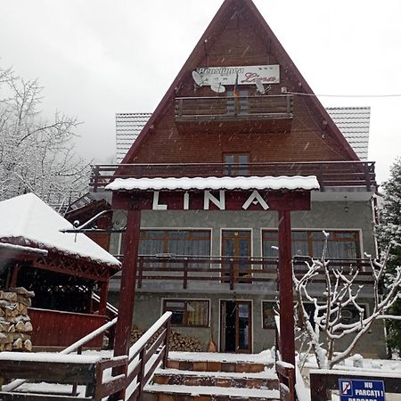 Pensiunea Lina Lepşa Exteriör bild